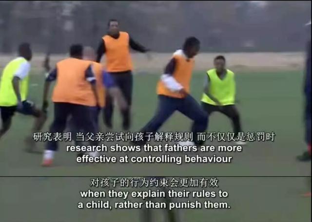 明尼苏达森林狼